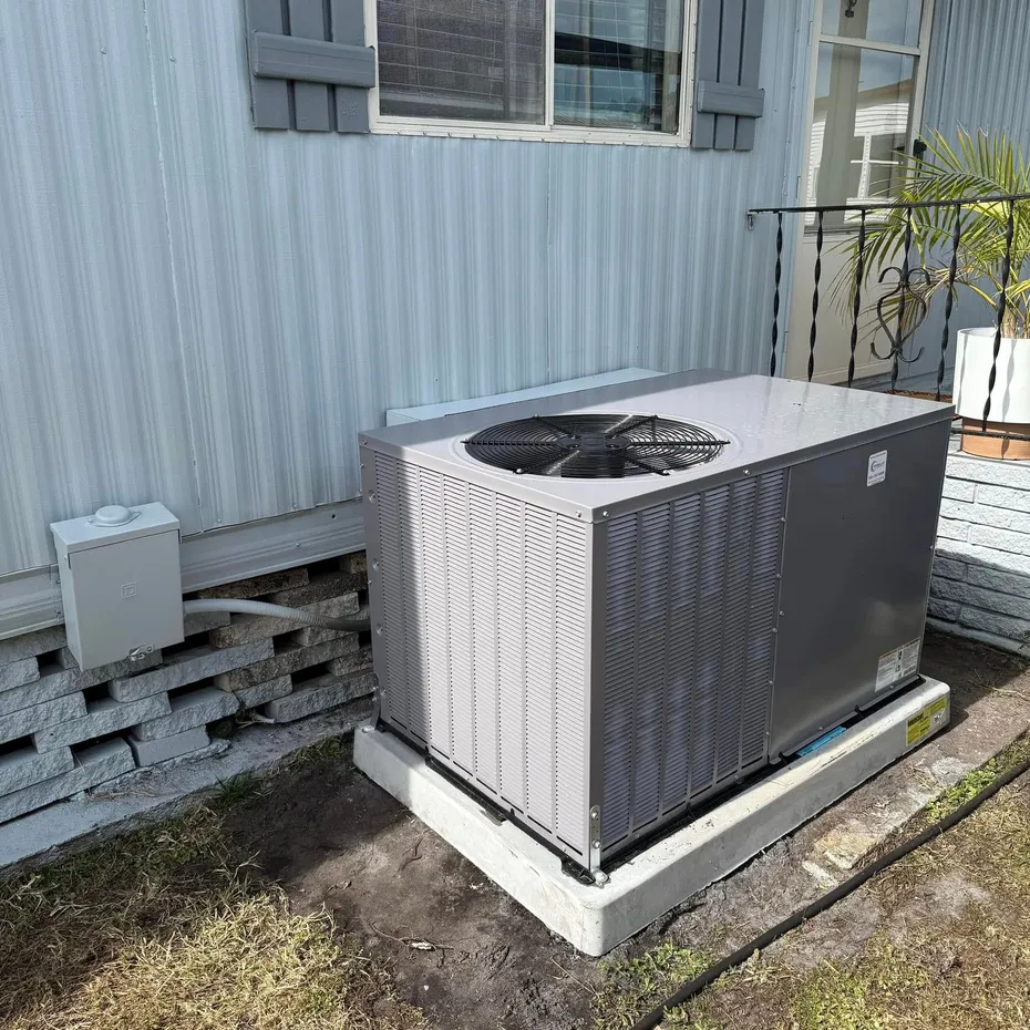 476390715_122142543224478314_8315356680682403446_n-6156a2e8-930h